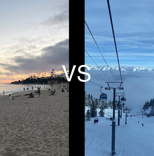 Summer or Winter: Which is better?