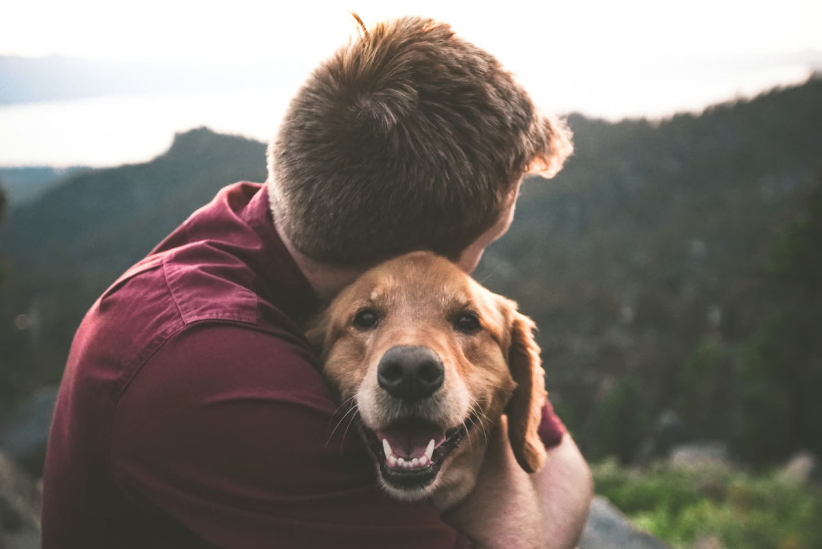 Is a Dog Really a Man’s Best Friend?