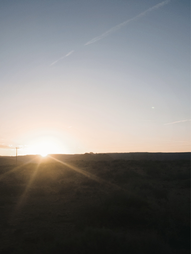 Why Summer Might be the Best Season