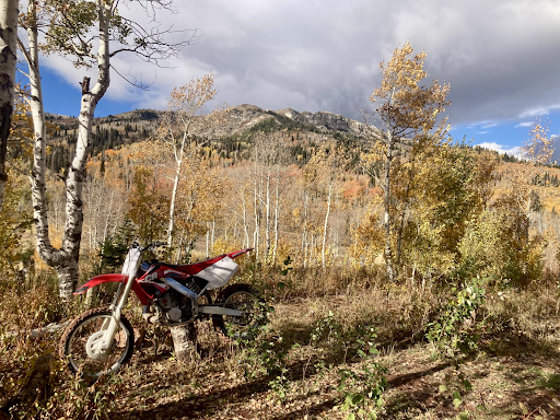Trails to Wildfires: The True Impact of Forest Service Funding Cuts