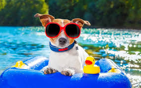 Summer Break Ahead: Farmington High School Edition